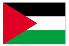Palestine 3ft x 5ft Printed Polyester Flag