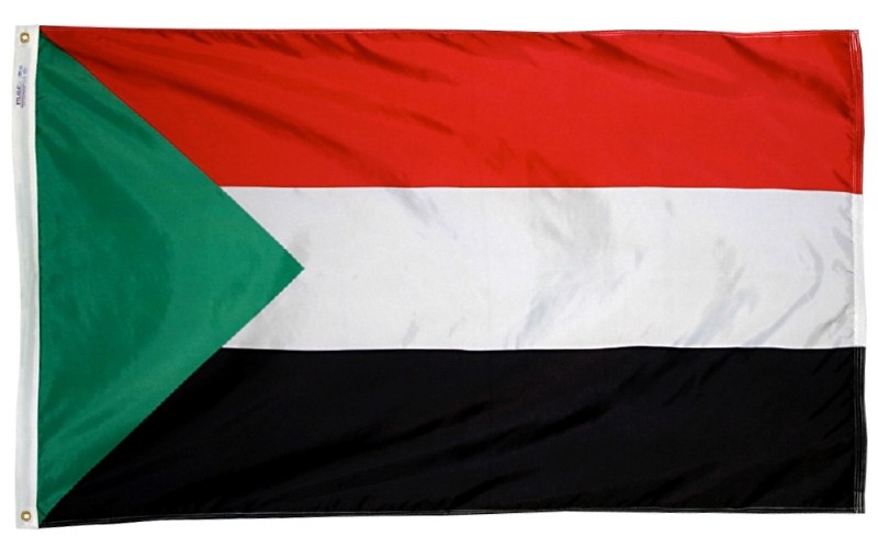 Buy 3 x 5' Nylon Palestine Flag